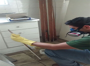 staff